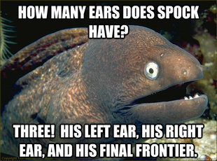 Bad Joke Eel