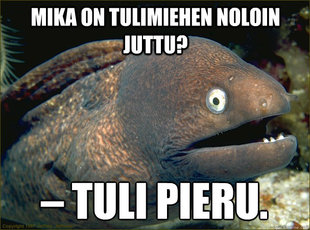 Bad Joke Eel