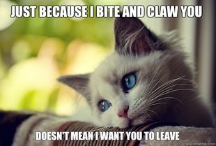First World Problems Cat