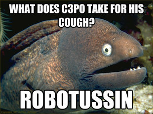 Bad Joke Eel