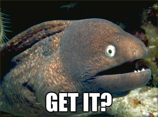 Bad Joke Eel
