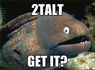Bad Joke Eel