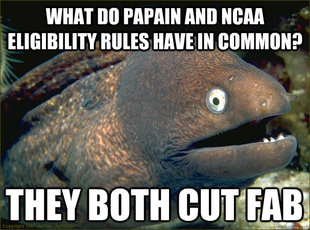 Bad Joke Eel