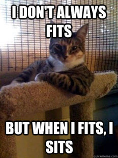 The Most Interesting Cat in the World