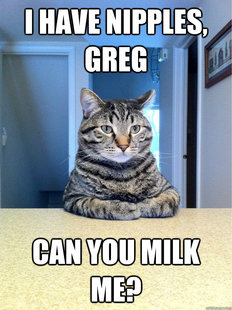 Chris Hansen Cat