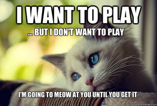 First World Problems Cat