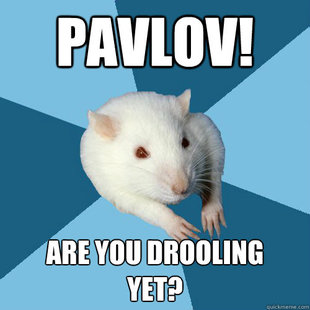 Psychology Major Rat