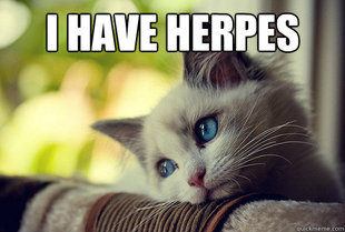 First World Problems Cat