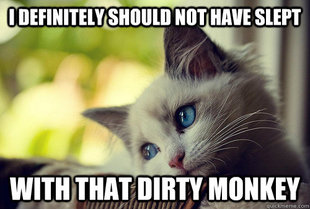 First World Problems Cat