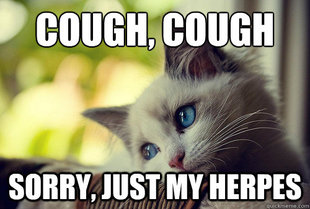 First World Problems Cat