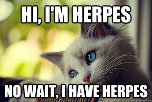 First World Problems Cat