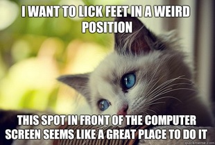 First World Problems Cat