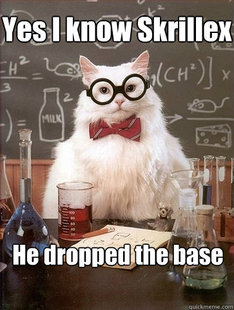 Chemistry Cat