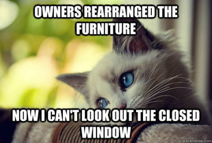 First World Cat Problems