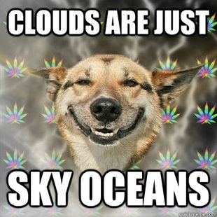 Stoner Dog