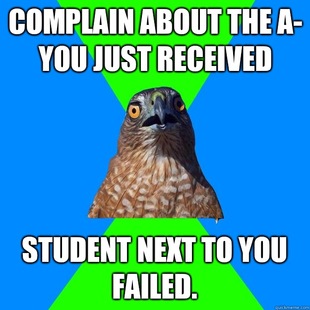 Hawkward