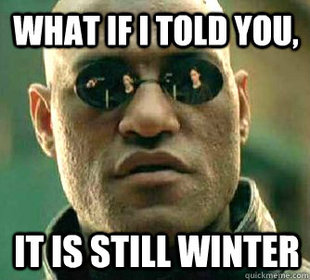 Matrix Morpheus