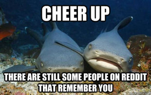 Compassionate Shark Friend