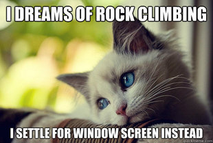 First World Cat Problems