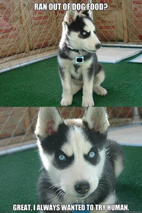Insanity puppy