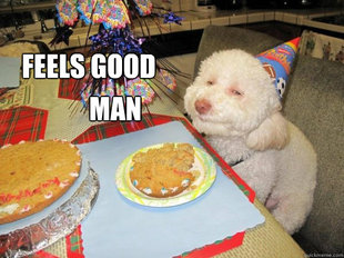 Birthday Dog