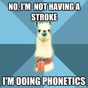 Linguist Llama