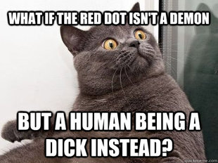 conspiracy cat