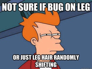 Futurama Fry