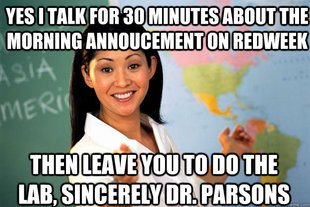 Unhelpful High School Teacher