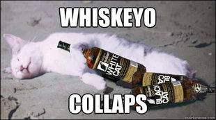 collapso cat