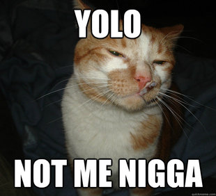 Cool Cat Craig