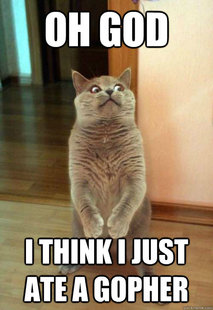 Horrorcat