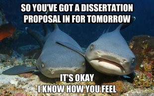 Compassionate Shark Friend