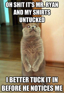 Horrorcat