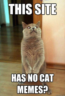Horrorcat