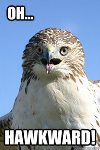 Hawkward