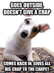 Scumbag Dog
