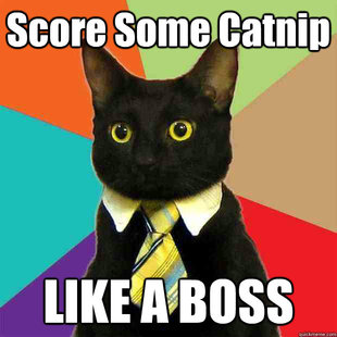 Like a boss