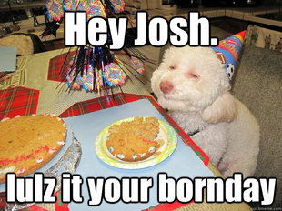 Stoned Birthday Dog