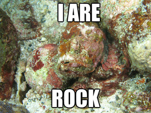 I R Rock