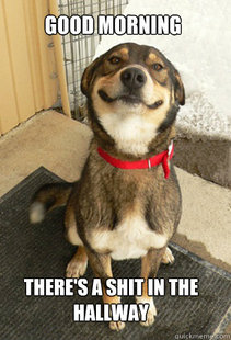 Good Dog Greg