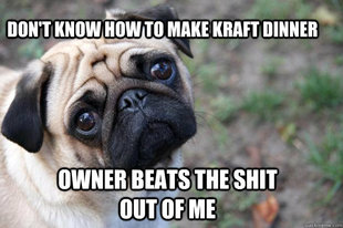 First World Dog problems