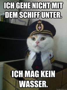 Captain kitteh