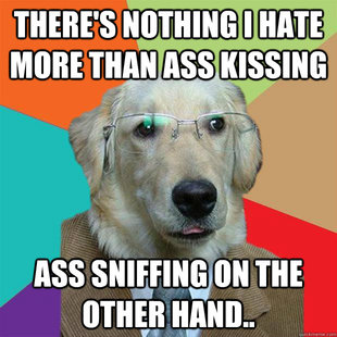 Business Dog