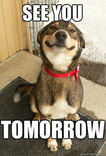 Good Dog Greg