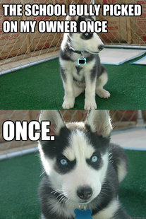 Insanity puppy