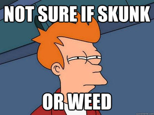 Futurama Fry