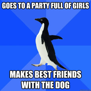 Socially Awkward Penguin
