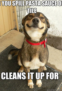 Good Dog Greg