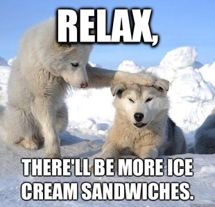 Caring Husky